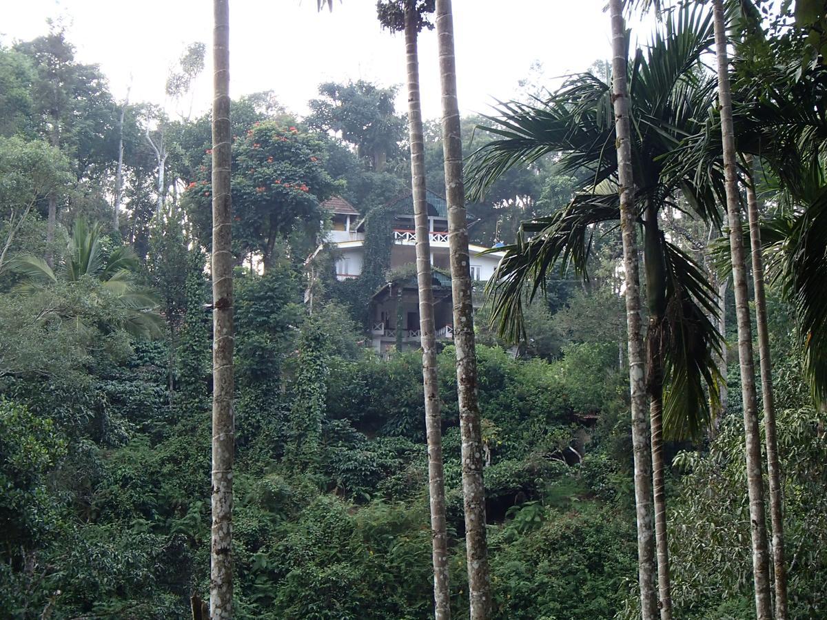 Coorg 4 C'S Little Paradise Madikeri Eksteriør billede